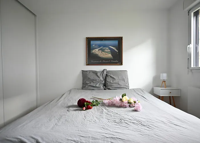 Appartement Spacieux Et Moderne A 10 Minutes Du Port De Vannes