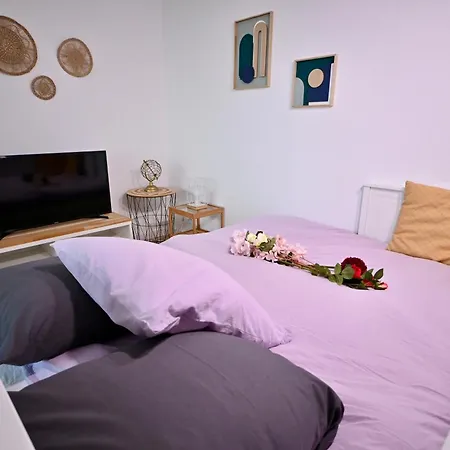 Appartement Spacieux Et Moderne A 10 Minutes Du Port De Vannes Exterior foto